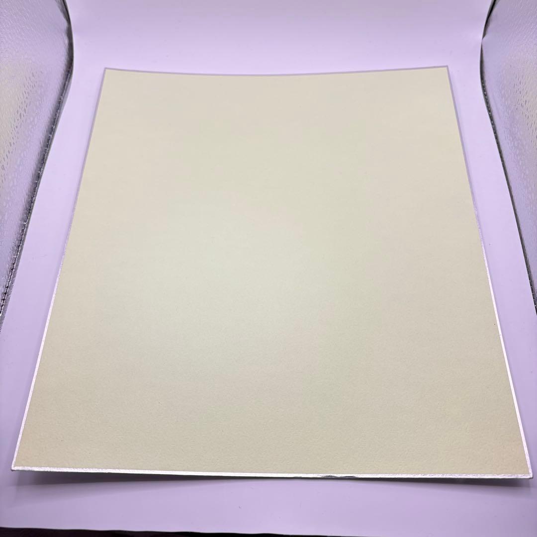 つ出品　※専用様以外購入不可