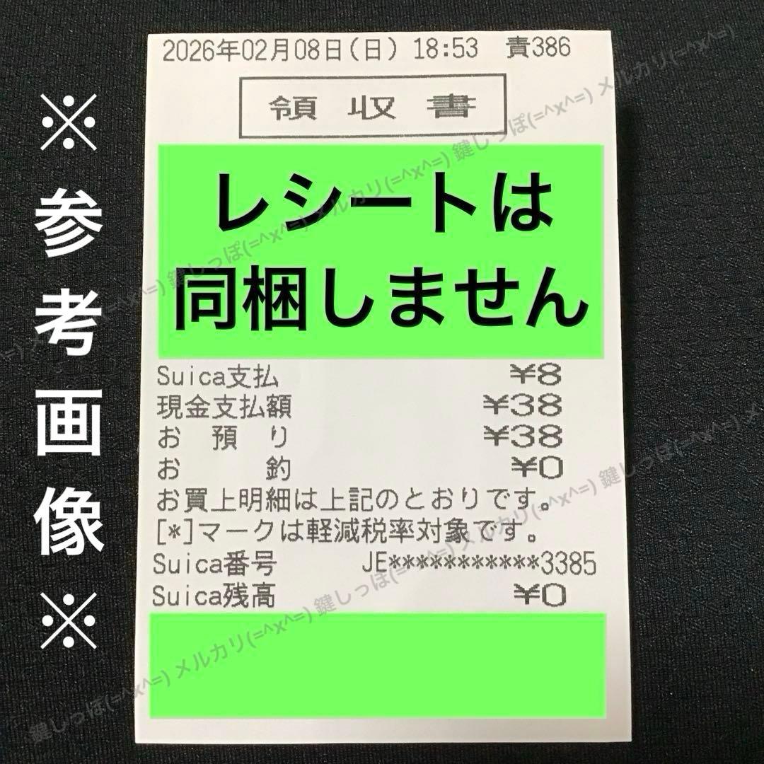 3385【 Suica 】 使用可能 電子マネー 進化 記念 イオカード スイカ