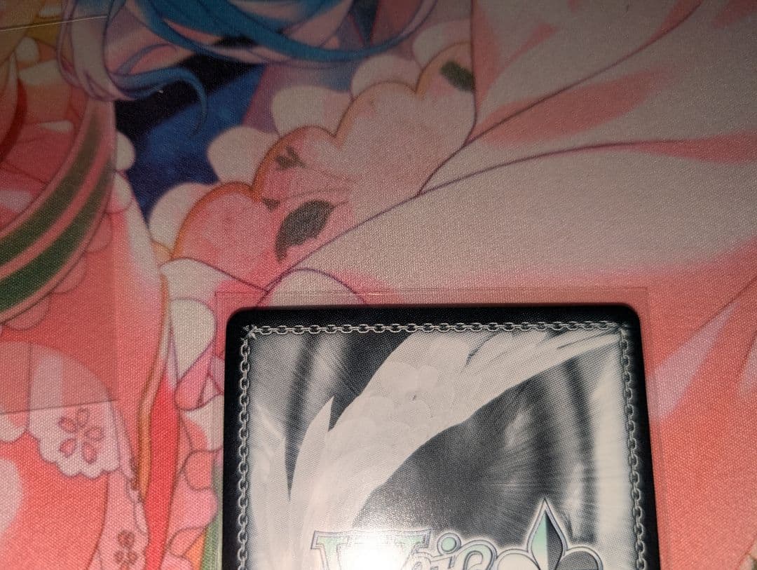 ヴァイスシュヴァルツ 怪獣8号 守りたい日常 亜白ミナ SSP