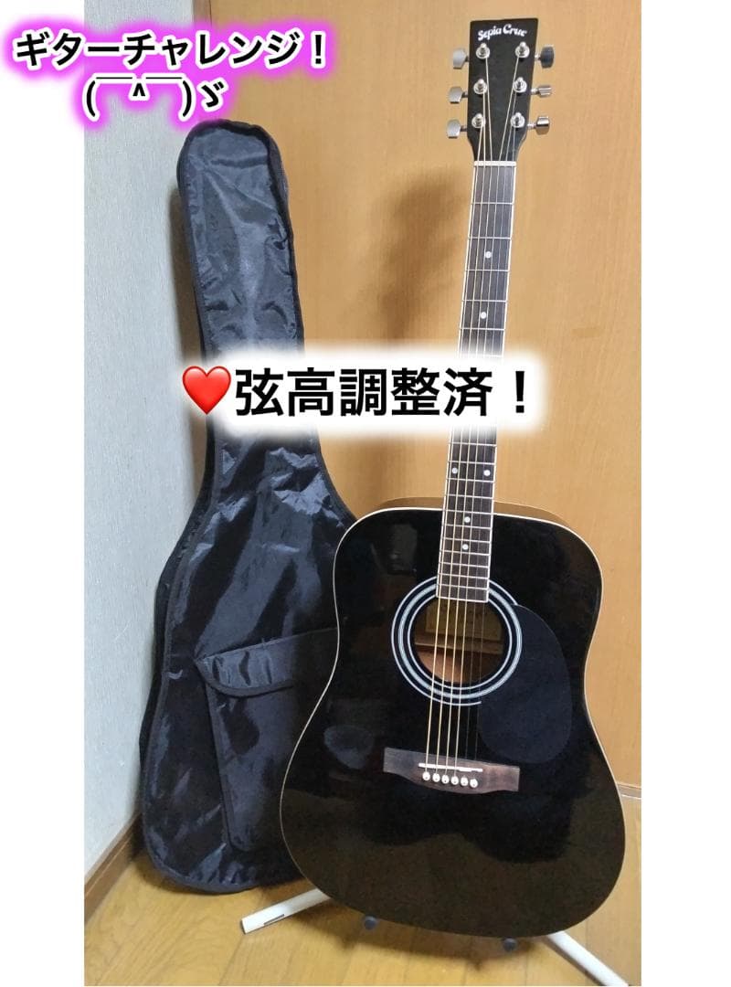 ❤️弦高調整済！「Sepia Crue セピアクルー WG-10 BK」＋ケース