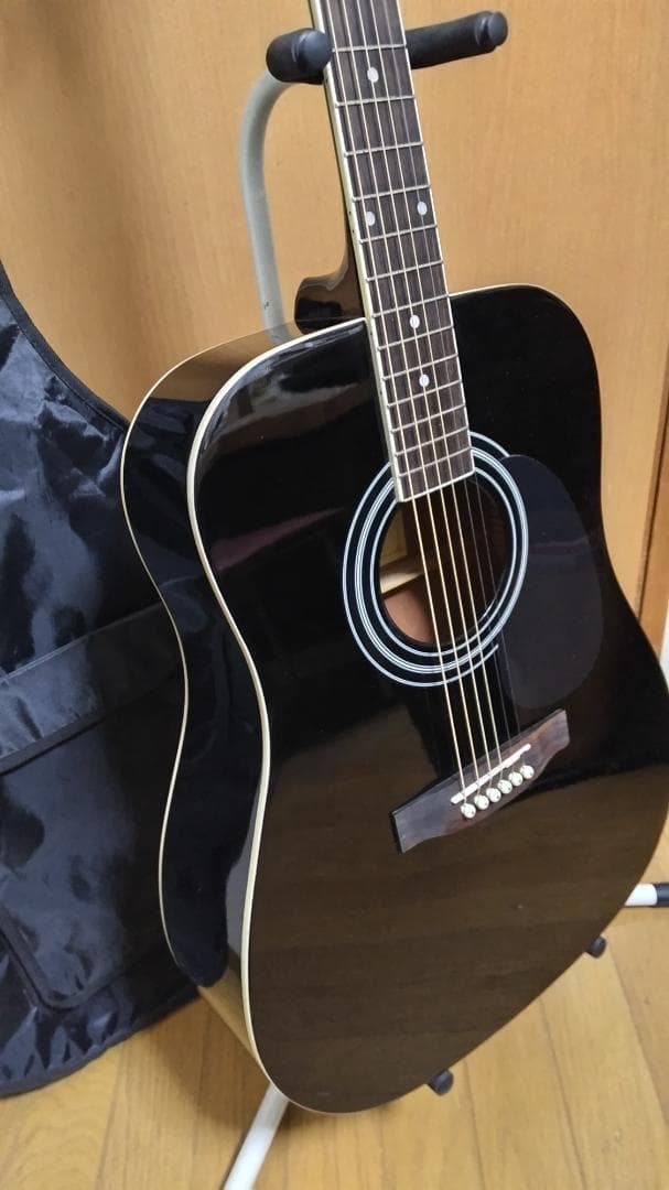 ❤️弦高調整済！「Sepia Crue セピアクルー WG-10 BK」＋ケース