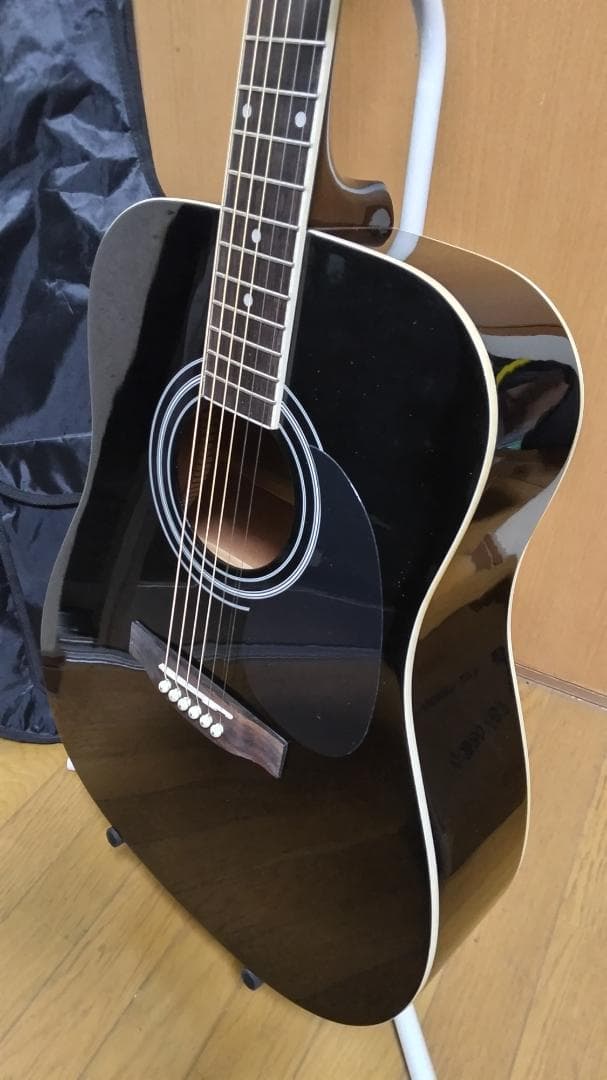 ❤️弦高調整済！「Sepia Crue セピアクルー WG-10 BK」＋ケース