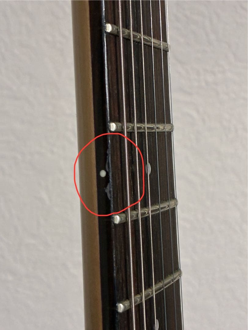 G-Life Guitars DSG Standard ギター