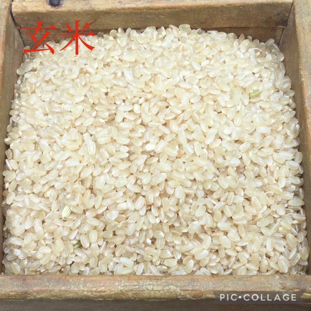 岡山県産　農薬、除草剤不使用　にこまる　玄米10㎏