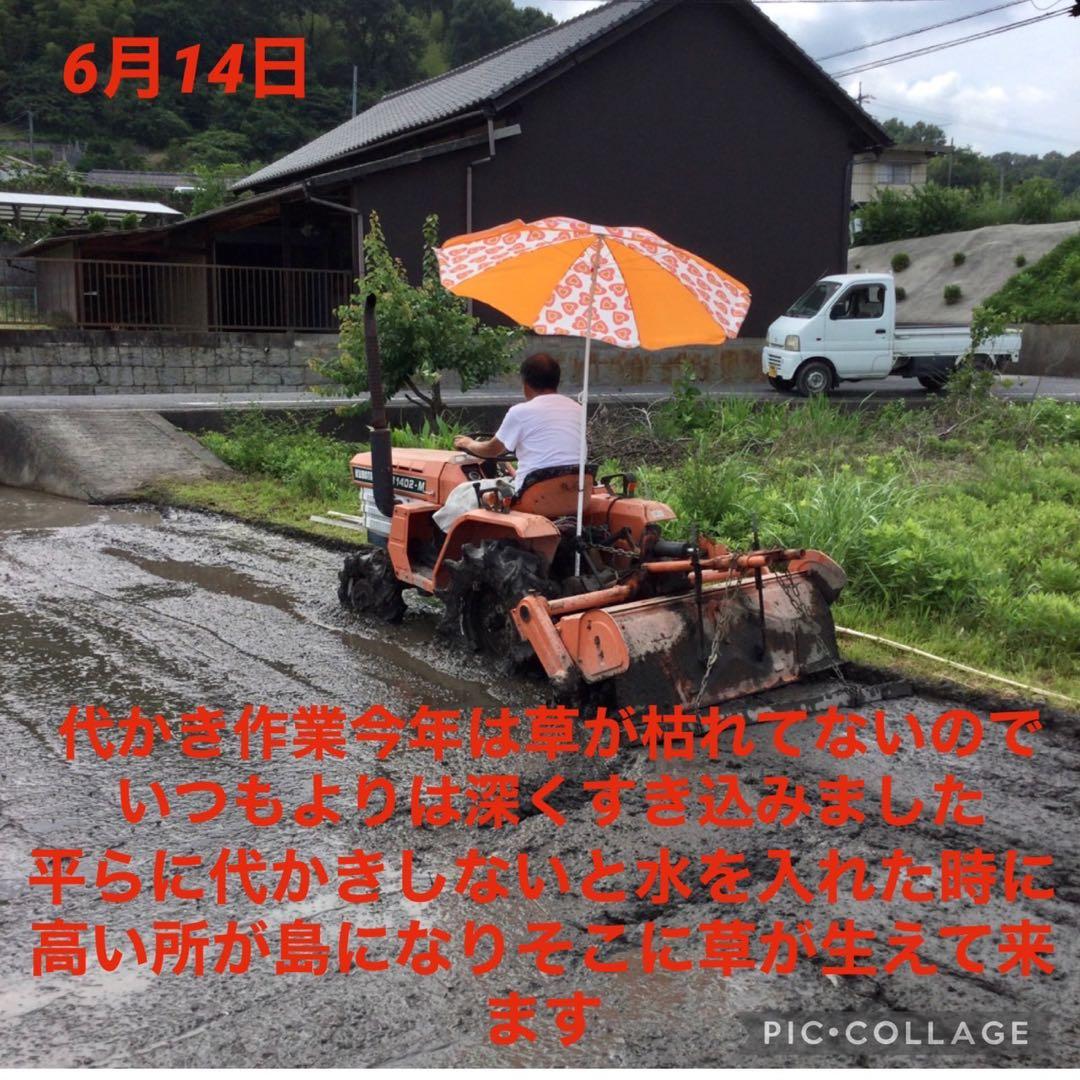 岡山県産　農薬、除草剤不使用　にこまる　玄米10㎏