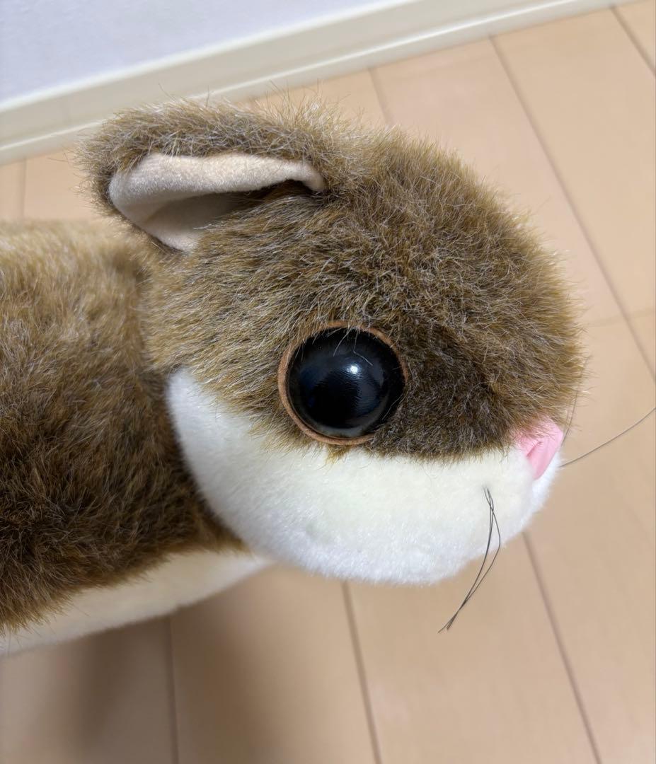 ムササビ　ぬいぐるみ　2点セット