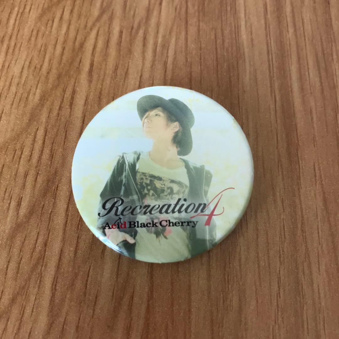 【美品、匿名配送】Acid Black Cherry ライブグッズ等13点セット