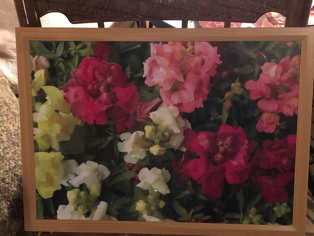 写真家　宮下利光が、一眼レフカメラで撮った素晴らしい写真になります。