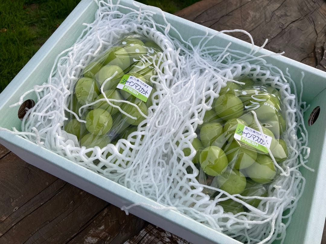 終了 悪魔のぶどう 山梨県産プレミアムシャインマスカット2房