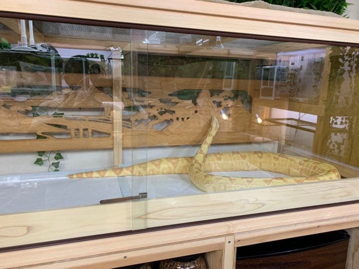 和製爬虫類ケージ