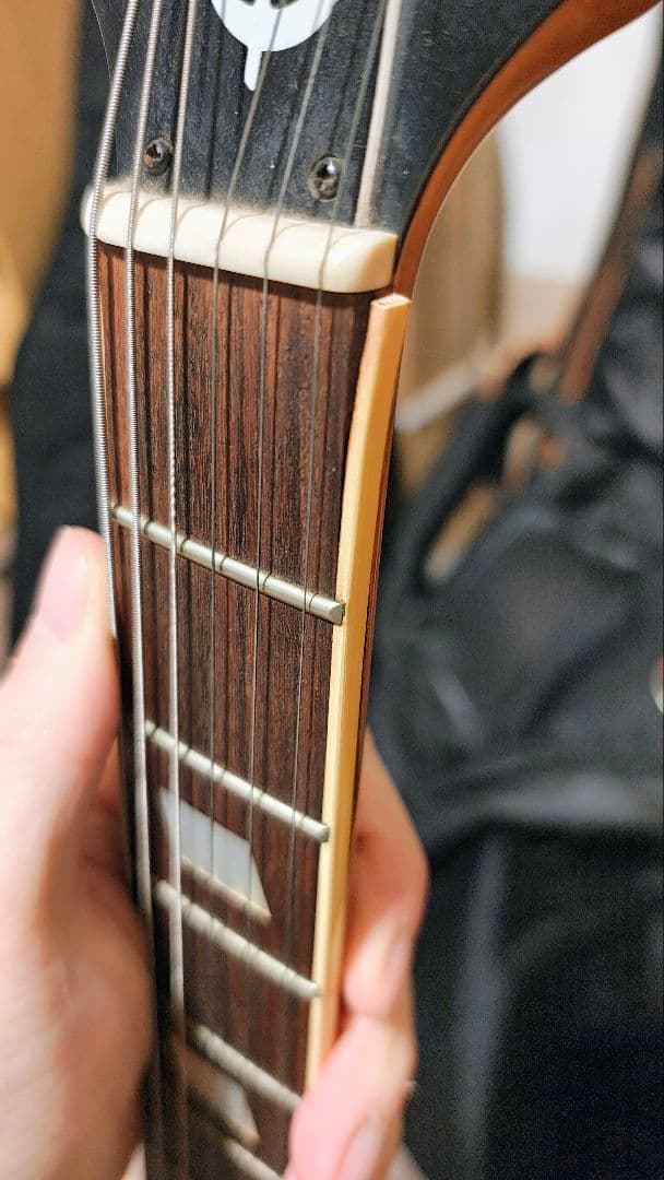 Epiphone Casino カジノ　ジョン・レノン　5桁　日本製　寺田楽器