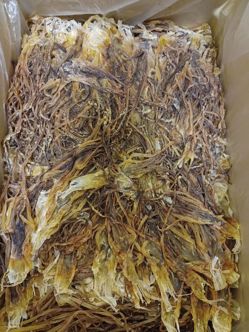 新物無添加商品【10kg 】ダイエットにも最適な珍味　前浜するめS足　未開封