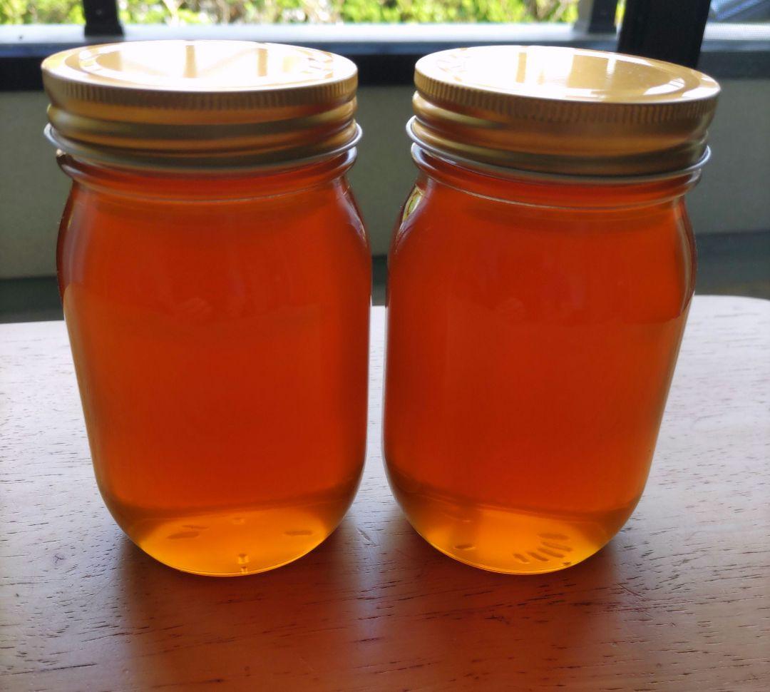 日本蜜蜂完熟ハチミツ(600g×2)