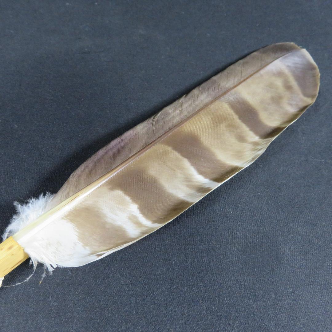 羽箒 羽根 茶道具 茶器 木箱 共箱 高級