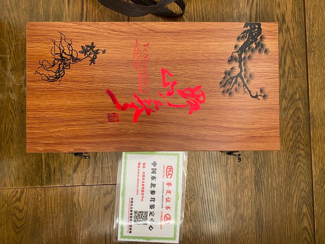 中国東北野山参 中国東北参茸鑑定書付き