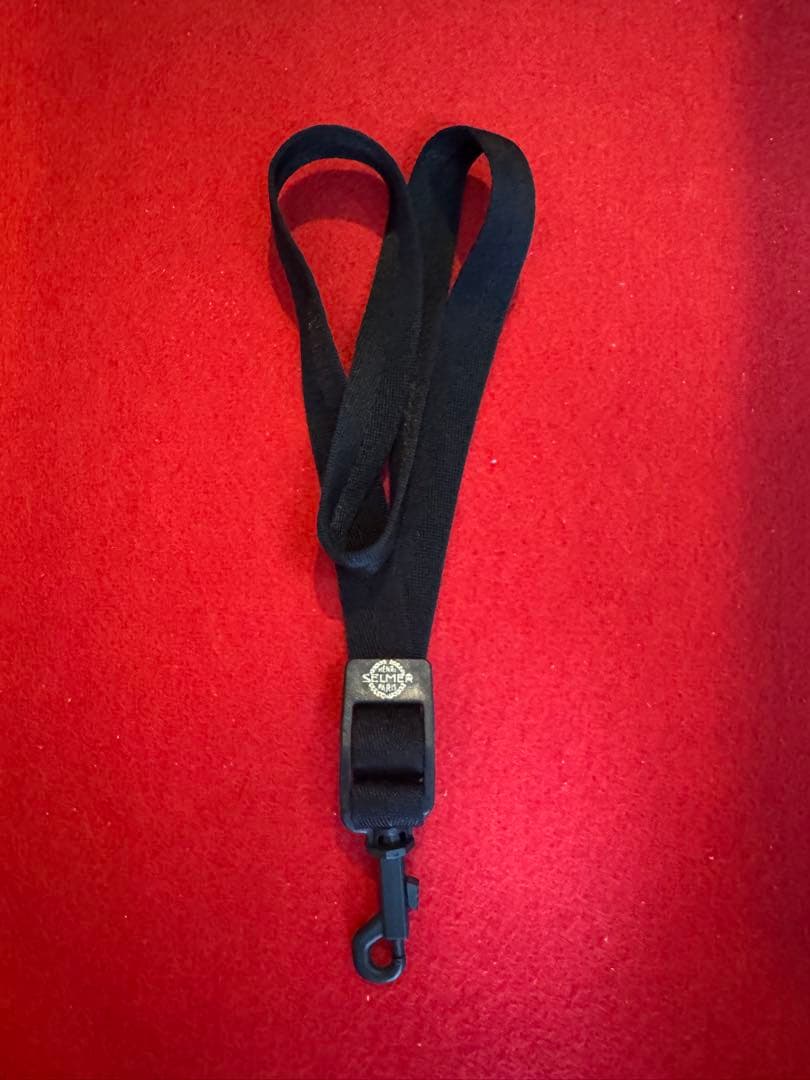 アルトサックス セルマーゴールド 本体と付属品