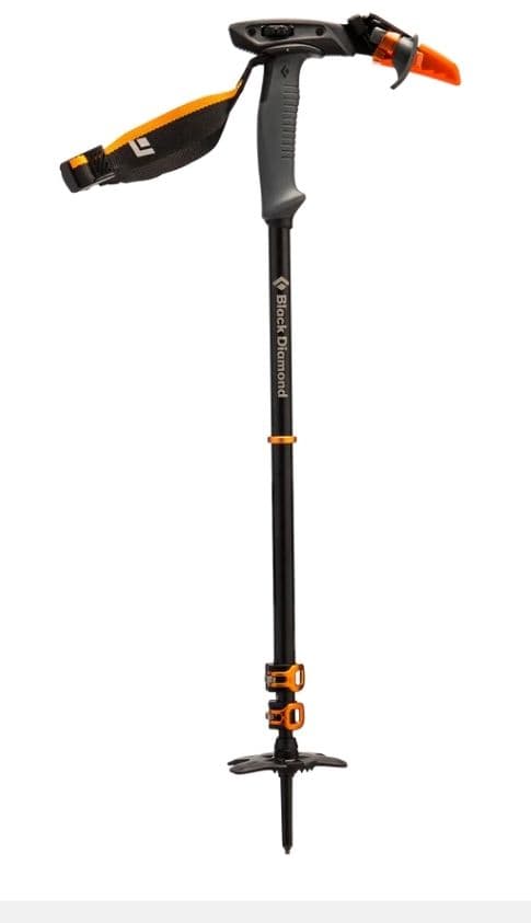  whippet pole ウィペット　BC