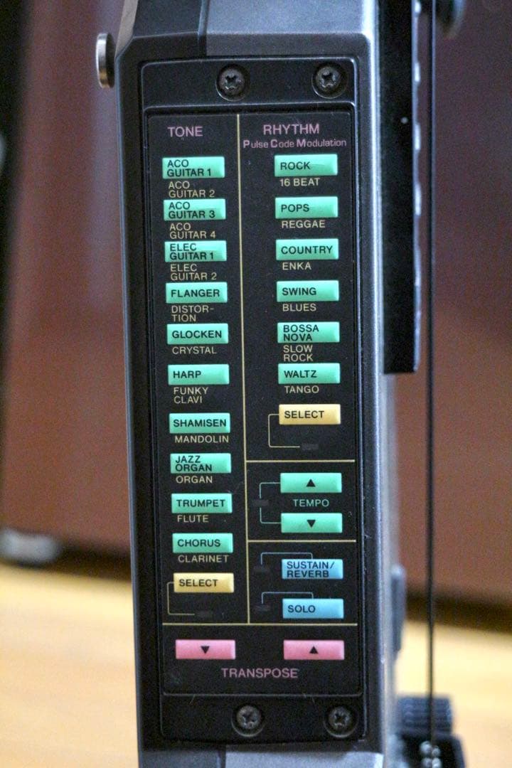 CASIO midiデジタルギター DG-20