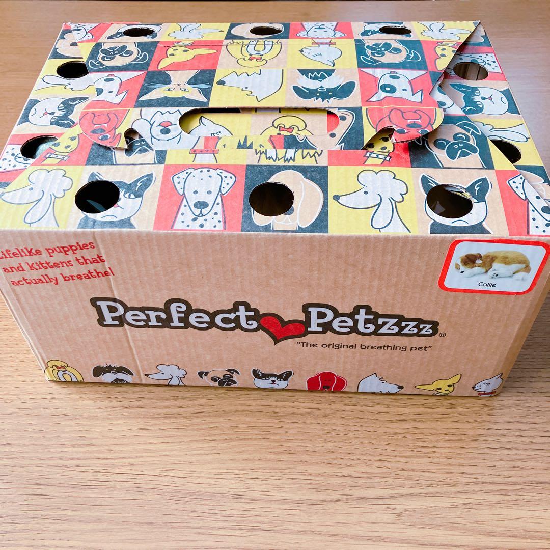 【新品】 ニニアンドキノ パーフェクトペット コリー 小型犬 リアル 動物