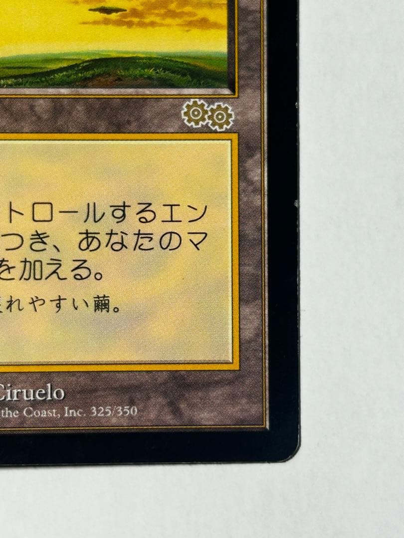 セラの聖域 1枚