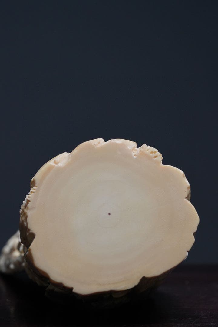 天然マンモス牙美しい手作り彫刻大日如来 置物