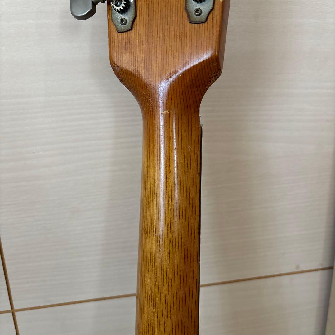 FRAMUS フラマス　アコースティックギター