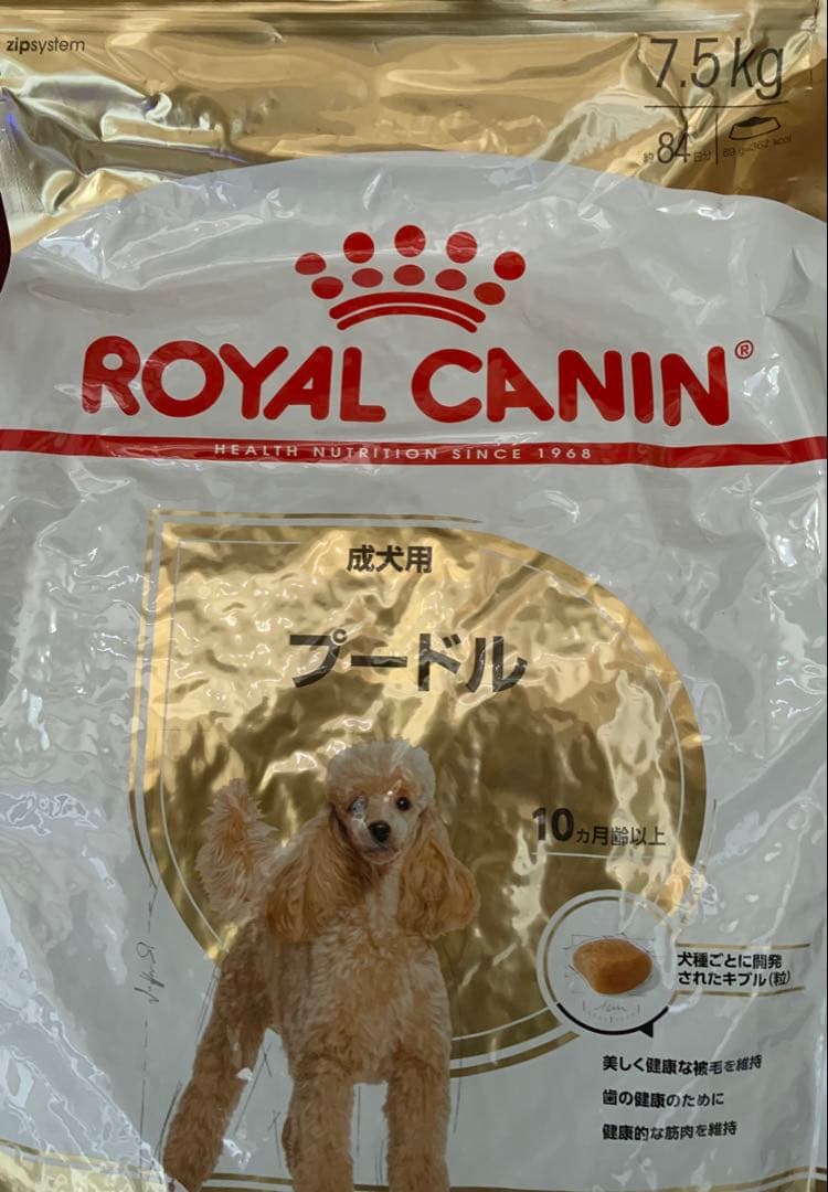大*福様  CANIN プードル ドライフード 7.5kg