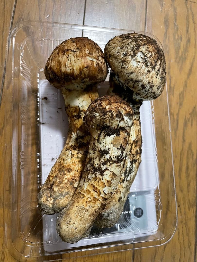 10月19日 訳あり岩手県産松茸 232g