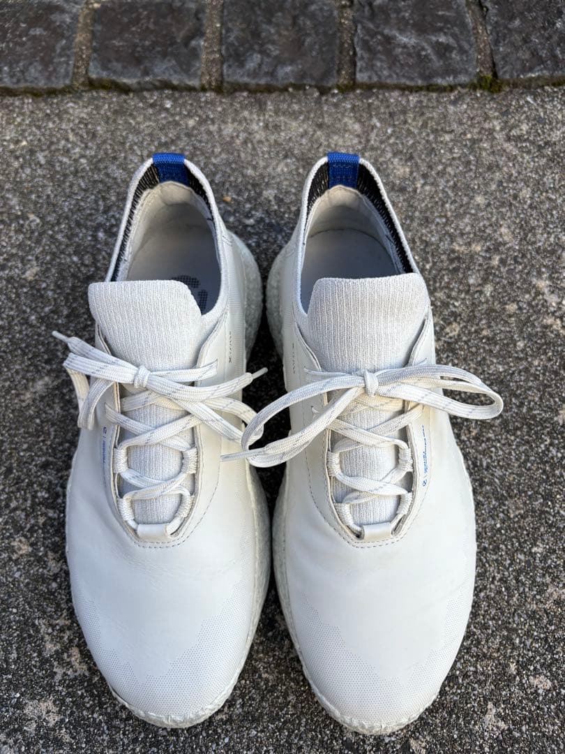 ecco BIOM H5 ゴルフシューズ　サイズ39