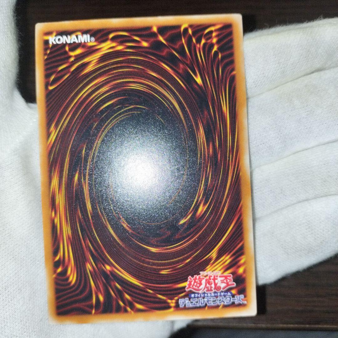 遊戯王 ブラック・パラディン レリーフ