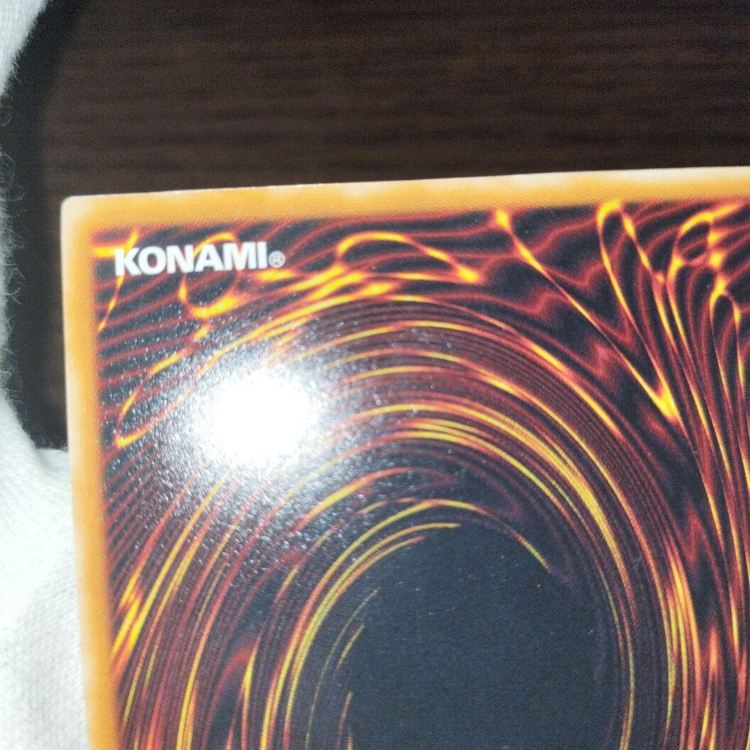 遊戯王 ブラック・パラディン レリーフ