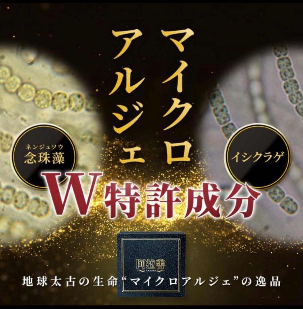 マイクロアルジェ〜阿拉善〜　【限定一名様】〈未開封1箱〉