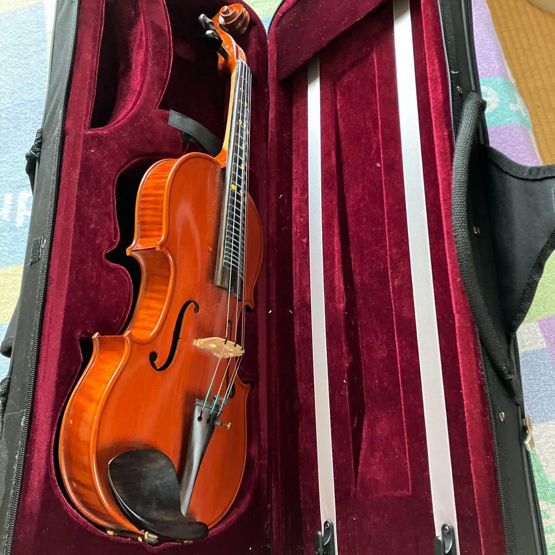 カルロジョルダーノ VS-3　フレット バイオリン4/4 虎目一枚板 一式セット