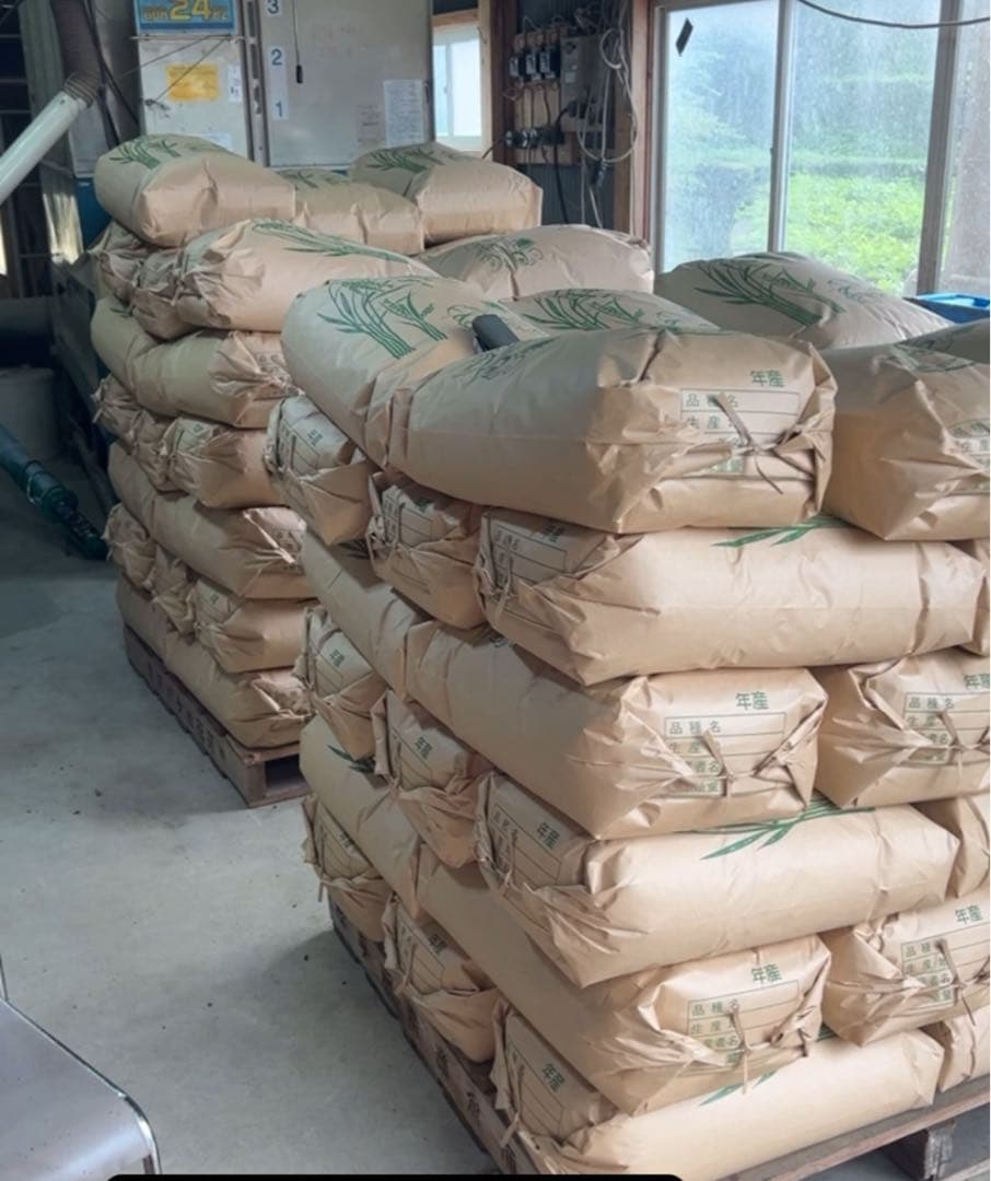 ミルキークイーン　玄米10キロ　滋賀県産