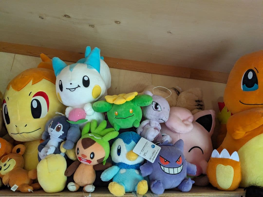 ポケモンぬいぐるみまとめ売り