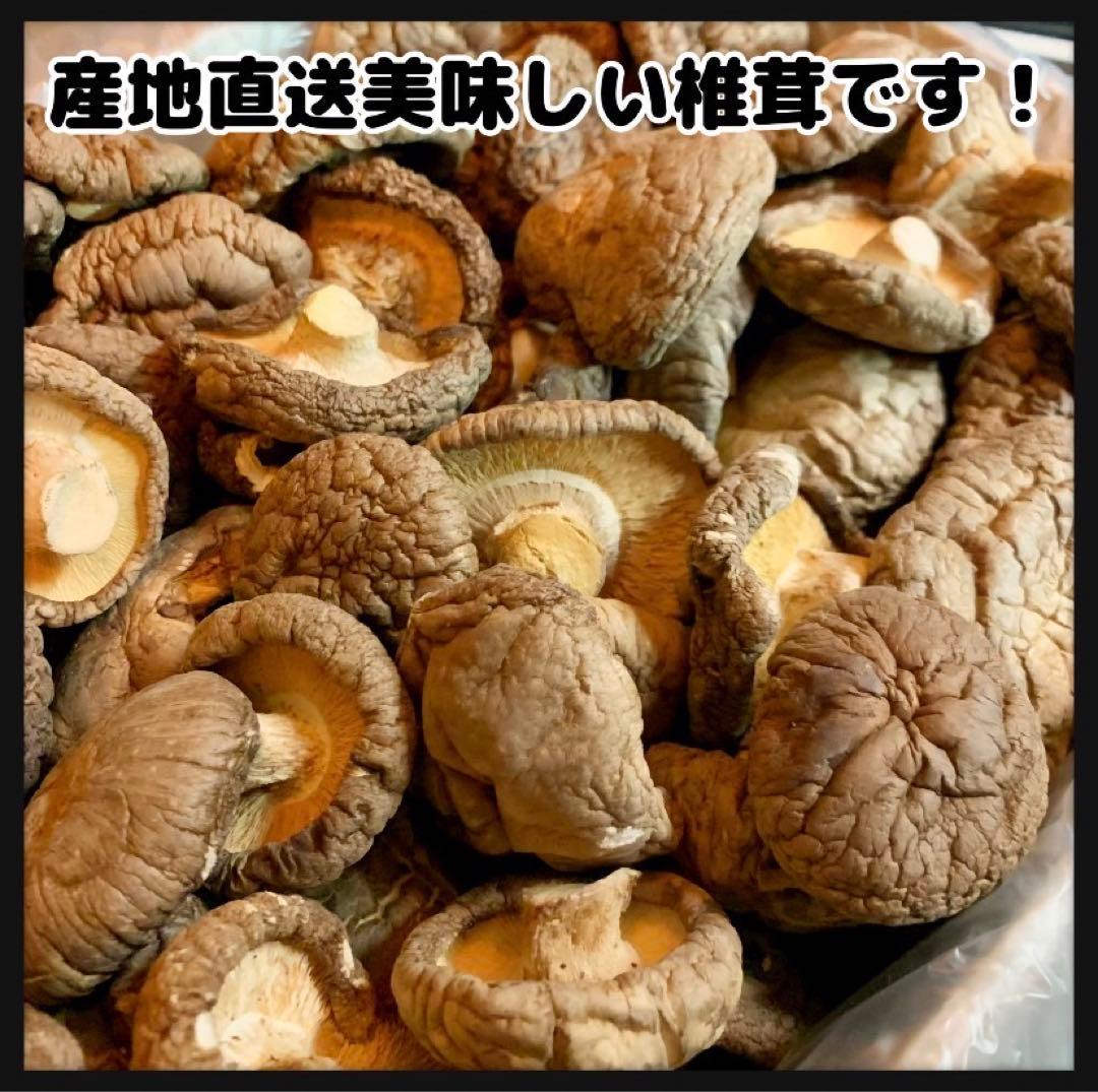 【産地直送】 乾燥椎茸　1kg 業務用　しいたけ　岩手県産　東北の味　業務用お得