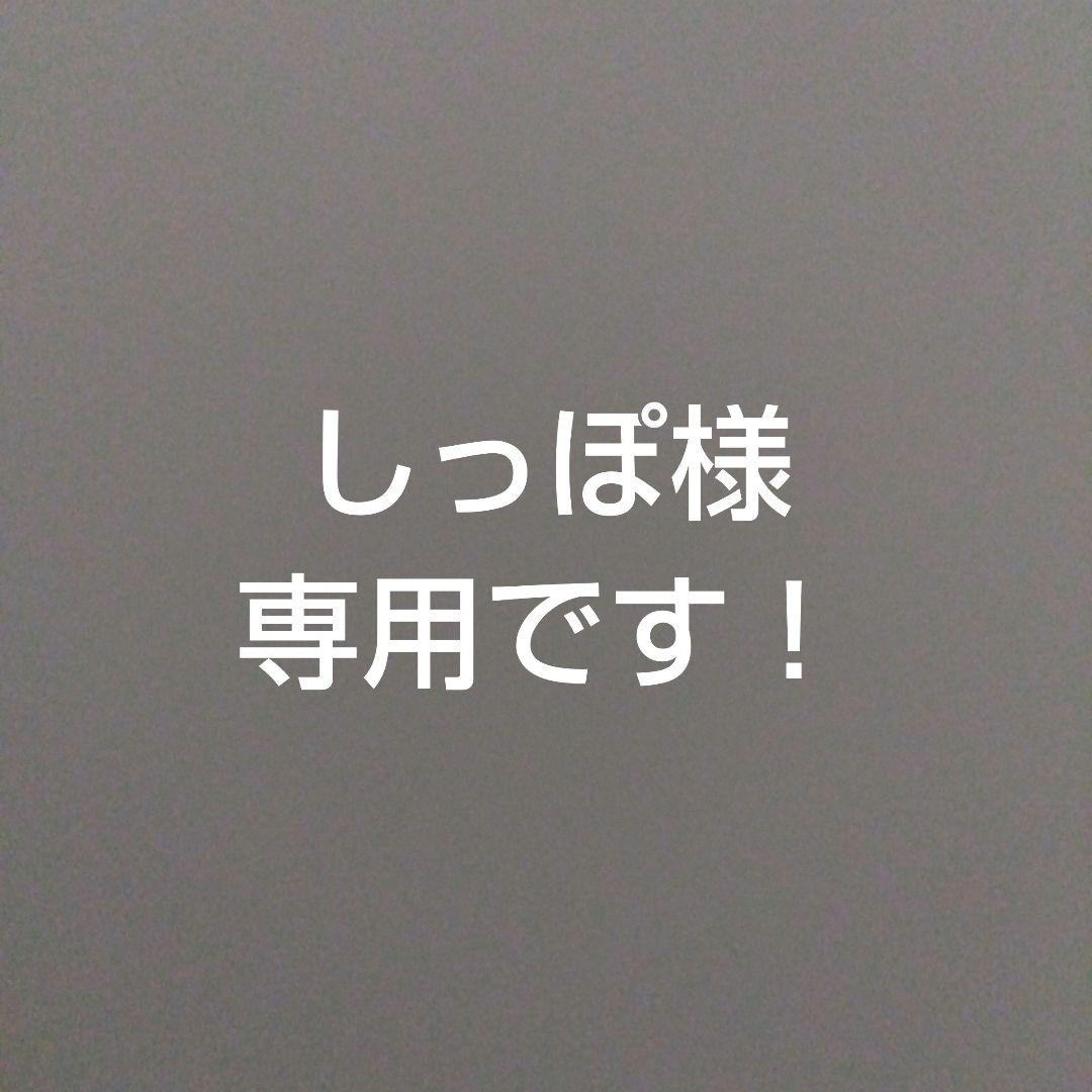 お試し！六甲山麓チーズケーキ5号 アウトレット 工場直売 前田製菓 遊酪舎