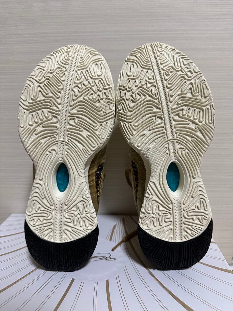 着用1回ほぼ新品　NIKE LEBRON XXI QS EP