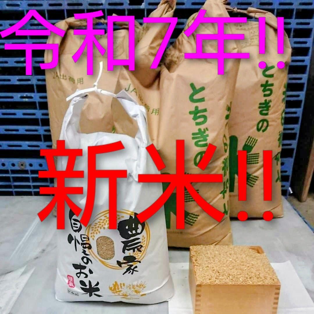 令和7年 新米！精米無料！玄米15キロ 栃木県大田原 黒羽産コシヒカリ 15㎏