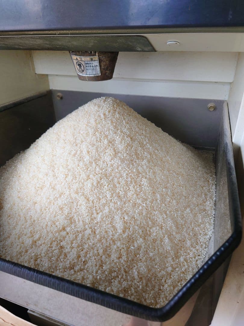 令和7年 新米！精米無料！玄米15キロ 栃木県大田原 黒羽産コシヒカリ 15㎏