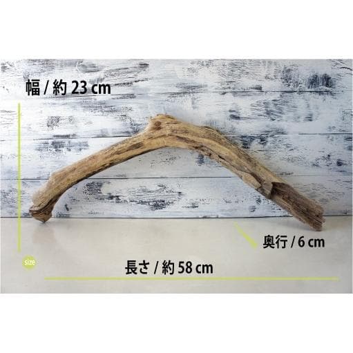 流木 ３本セット インテリア 大型サイズ オブジェ 登り木 爬虫類 送料無料