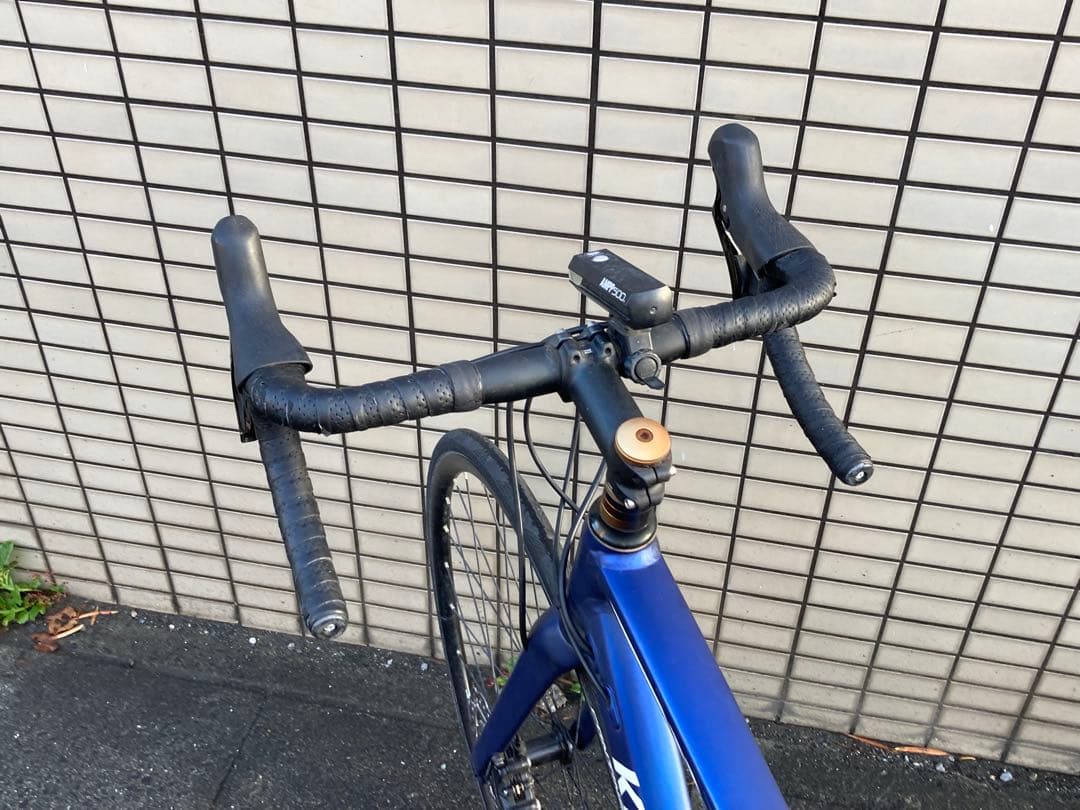 送料込 コーダーブルーム KhodaaBloom FARNA DISC 105