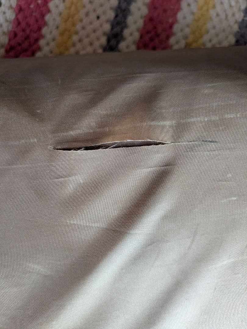 Car Side Living DX-II タープ・シェード本体