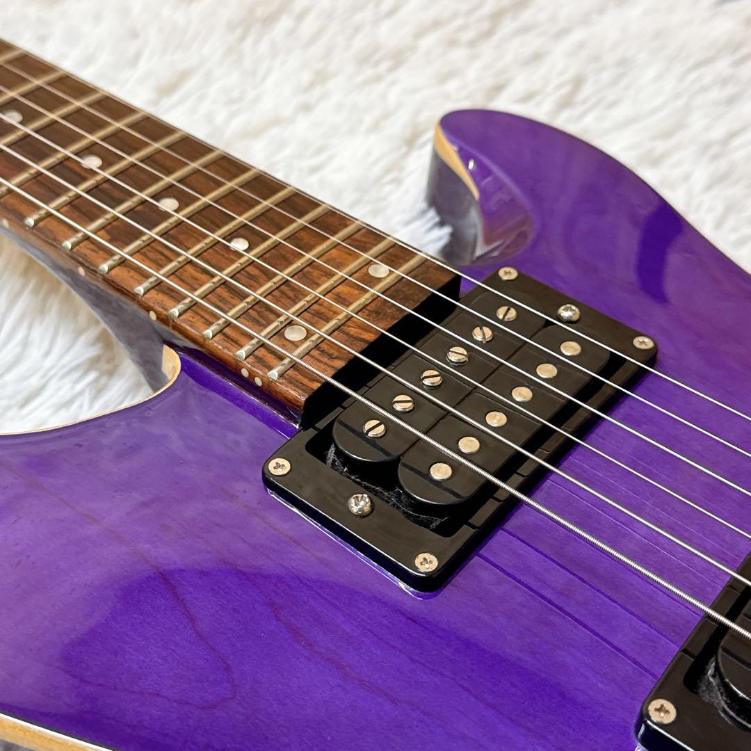 FERNANDES APG-standard セットネック仕様 パープル 紫