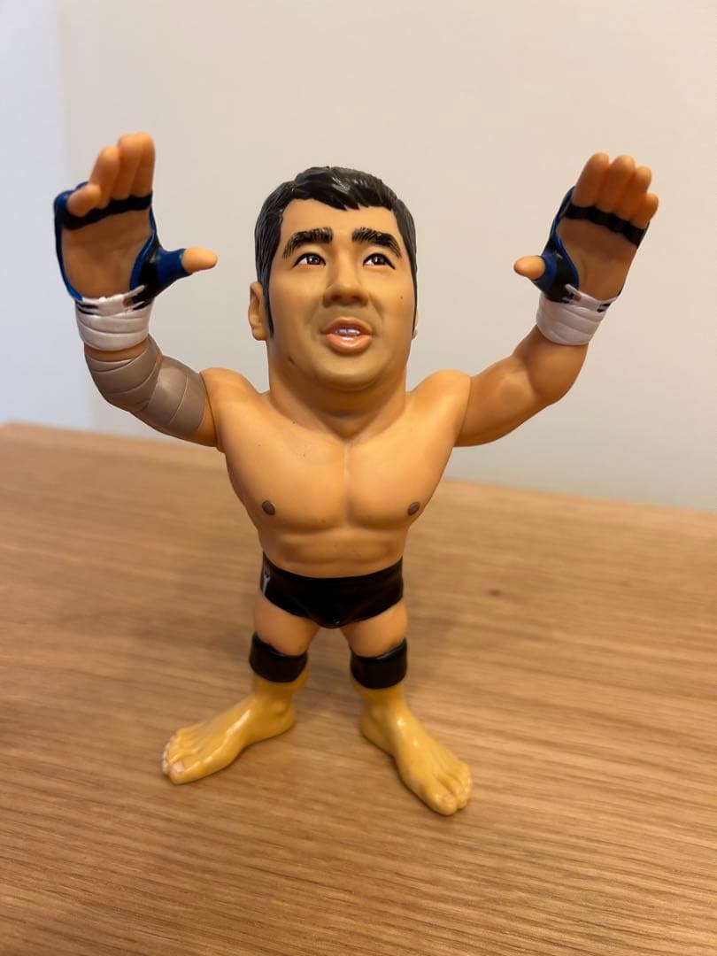 プロレス　HAO フィギュア 3体セット