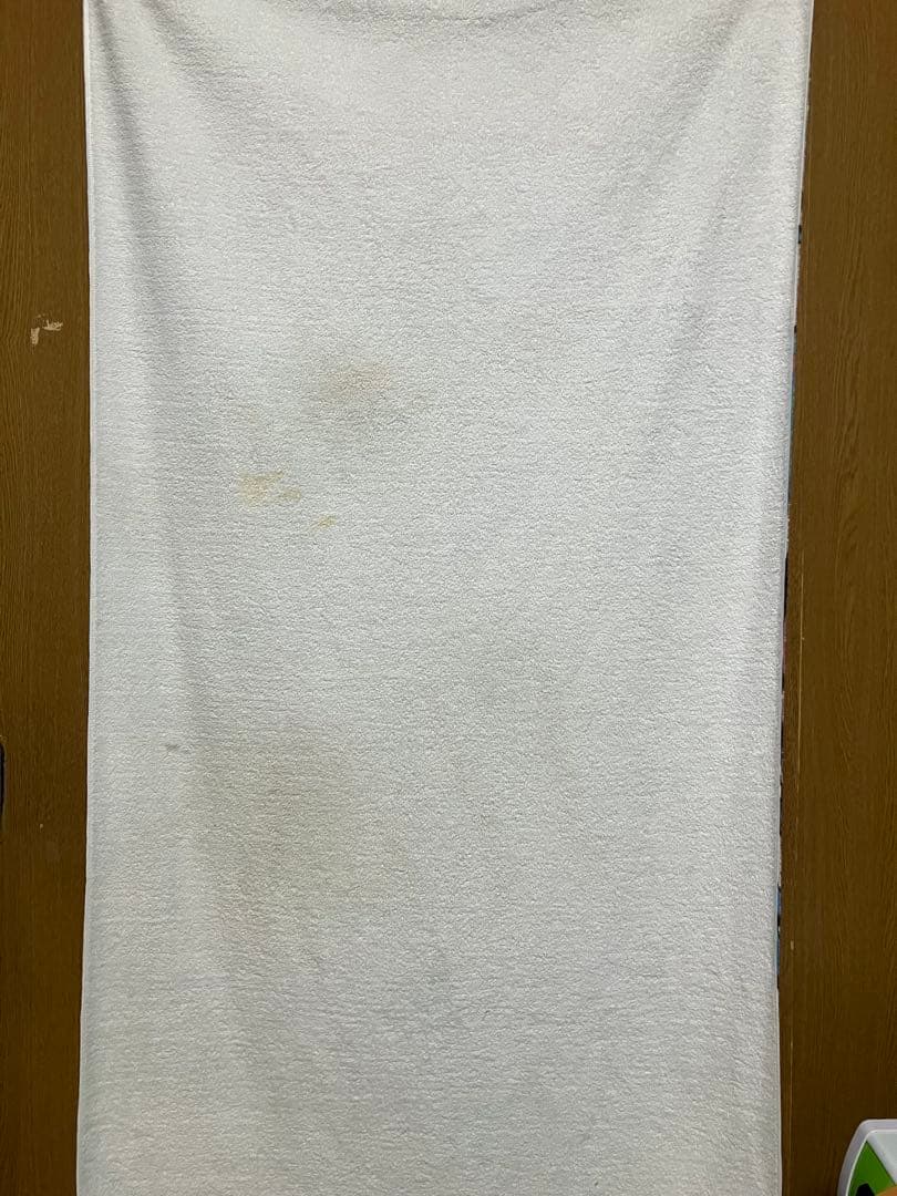 初音ミク レーシングミク Ver.2019 フルカラービッグタオル 1