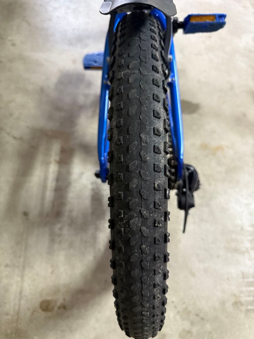 Trek キッズ自転車 20インチ 青