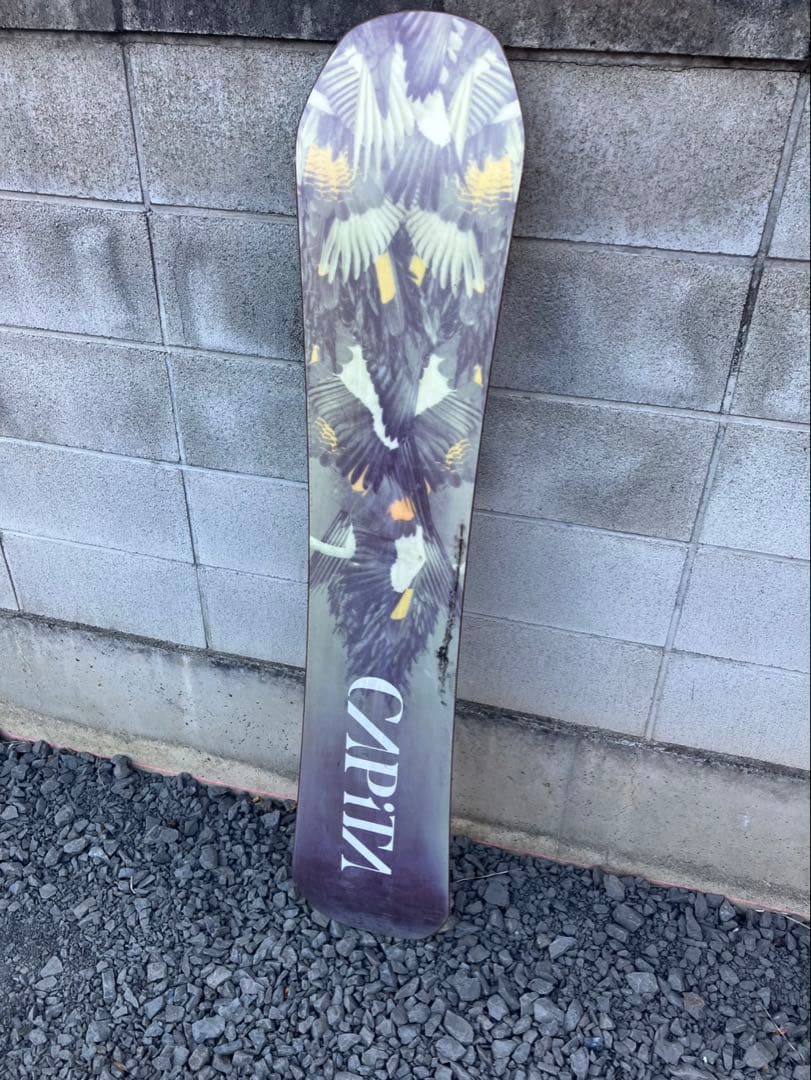 CAPiTA キャピタ スノーボード デッキ 鳥 グラフィック デザイン