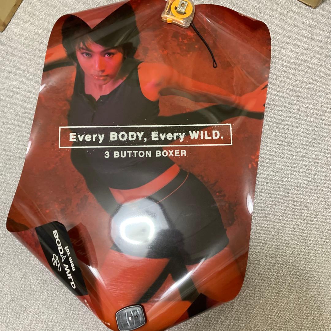 井川遥　BODY WILD 店頭用 バックライトポスター（電飾用）非売品　赤