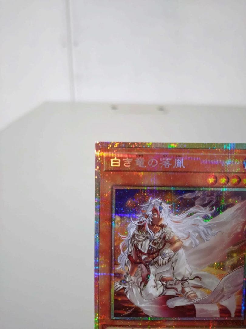 遊戯王　白き竜の落胤【プリシク】